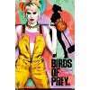 Trends International DC Comics Movie - Birds of Prey - Emancipation Unframed Wall Poster Prints - 4 of 4