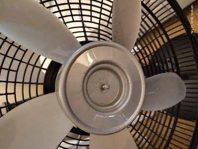 Guest review image 1 of 2, zoom in