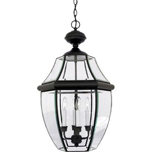 Quoizel Lighting Newbury 4 - Light Pendant in  Mystic Black - 1 of 2
