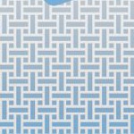 north carolina tar heels