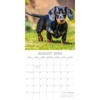 2026 Square Wall Calendar, Dachshunds, 16-Month Paw Prints Theme with 180 Reminder Stickers (12x12 In) - 3 of 4