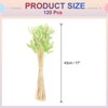 Unique Bargains Decorative Natural Dried Floral Bunny Tail Artificial Plants 120 Pcs - 2 of 4