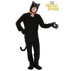 HalloweenCostumes.com Adult Disney Hocus Pocus Thackery Binx Costume | Disney Costumes - 4 of 4