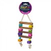 Prevue Pet Products Bodacious Bites Bird Toy Color: Chow, Size: Small - 2 of 3