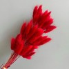 Alilang Dried Bunny Tail Grass Stems for Modern Home Decoration and Floral Arrangements, 23.5 Inches - 2 of 3