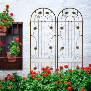 Coolbibila-2 Pack Metal Garden Trellis, 86" X 40"Trellis Fence For Climbing Plants Outdoor Flower Support, Planter Baskets - 1 of 4