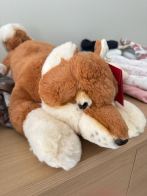 Guest review image 1 of 1, zoom in