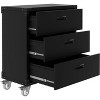 homfan 3-Drawer Rolling Tool Cabinet - Heavy Duty Garage Storage On Wheels - Mobile Metal Workbench for Warehouse, Basement & Workshop, Black - 3 of 4