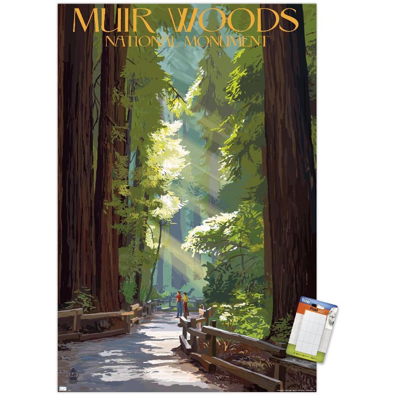 Trends International Lantern Press - Muir Woods Pathway Unframed Wall Poster Prints, 1 of 7