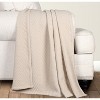 Modern Chevron Cotton Medium Weight Woven Coverlet by Blue Nile Mills - image 2 of 4