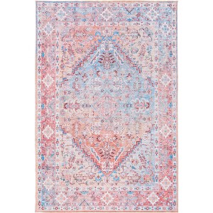 Serapi SEP515 Power Loomed Indoor Machine Washable Skid-Resistant Rugs - Safavieh - 1 of 4