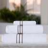 Premium Cotton Solid Plush Heavyweight Hotel Luxury Towel Set by Blue Nile Mills - 2 of 4