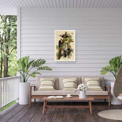 Large Tan and Green Canvas Print of Pileated Woodpeckers