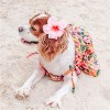 Parisian Pet 'Hawaiian Dress' Dog & Cat Shirt – Island-Themed Vacation Pet Apparel – Orange - 4 of 4