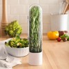 Prepara Herb Savor Pod 2.0 Herb Storage Container - Space Saving for Fridge Door Storage, Pouring Spout Keeps Fresh Herbs Fresh Up to 3 Weeks (2-Pack) - 2 of 4