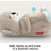 Fisher-Price Soothe 'n Snuggle Otter, Portable Plush Soother - 3 of 4