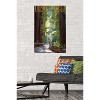 Trends International Lantern Press - Redwoods Pathway in Trees Unframed Wall Poster Prints - 2 of 4