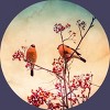 Women's Design By Humans Bullfinch eat rowan By AnnArtshock Racerback Tank Top - 2 of 3