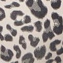 natural cheetah