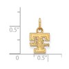 Black Bow Jewelry 14k Yellow Gold Tennessee Volunteers NCAA Extra Small Pendant - 2 of 3