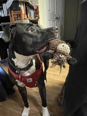 Guest review image 1 of 2, zoom in