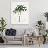Stupell Industries Vintage Palm Study Canvas Art - 3 of 4