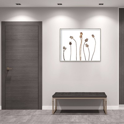 41" x 33" White and Brown Botanical Hardwood Framed Wall Art Print