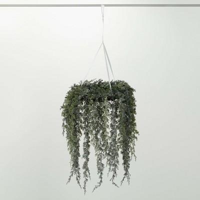 Sullivans Artificial Draping Cypress Hanging Christmas Wreath  Green-White  Indoor Christmas DÃƒÂ©cor