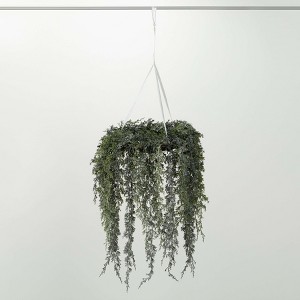 Sullivans Artificial Draping Cypress Hanging Christmas Wreath  Green-White  Indoor Christmas DÃƒÂ©cor - 1 of 3