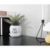 Esterno Fake Plant Planter Pot; Small Resin Decorative Container for Indoor/Outdoor Gardening - 4 of 4