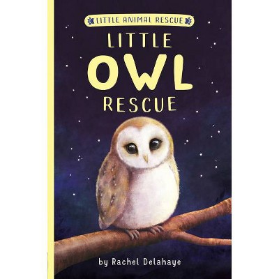Little Owl Rescue - (Little Animal Rescue) by  Rachel Delahaye (Paperback)