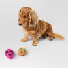 Halloween Plush Dog Toy - Hyde and EEK! Boutique™ Orange - 2 of 3