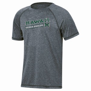 NCAA Hawaii Rainbow Warriors Boys' Gray Poly T-Shirt - 1 of 3
