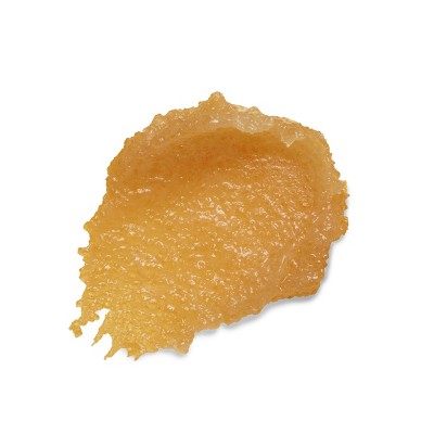 Burt's Bees Natural Conditioning Lip Scrub with Exfoliating Honey Crystals - 0.25oz