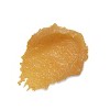 Burt's Bees Natural Conditioning Lip Scrub with Exfoliating Honey Crystals - 0.25oz - image 2 of 4