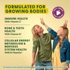 MegaFood Kids Multivitamin with Vitamin C & Vitamin E Soft Chews - Vegetarian - Grape - 30ct - 4 of 4