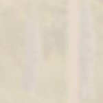 5% solar screen fawn