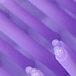 gradient purple