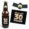 Big Dot of Happiness Cheers and Beers to 30 Years - 30th Birthday Party Decorations for Women and Men - 6 Beer Bottle Label Stickers and 1 Carrier - 3 of 4