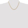 Black Bow Jewelry 3mm 14k Yellow Gold, Solid Diamond Cut Rope Chain Necklace - 2 of 4