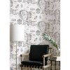 RoomMates Lord of the Rings Black and White Middle Earth Map Kids' Peel and Stick Wallpaper - 3 of 4