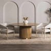 Hauteloom Galey Alix Fetscher II Vintage Medallion Rug - 4 of 4