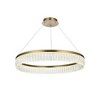 Elegant Lighting Rune 1 - Light Chandelier in  Satin Gold - 2 of 4