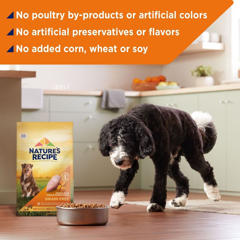 Nature's Recipe Grain Free Chicken, Sweet Potato & Pumpkin Recipe Adult Dry Dog Food, 4 of 13