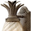 Hinkley Plantation 14" High Pearl Bronze Outdoor Wall Light - 2 of 2