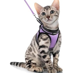 rabbitgoo Cat Harness and Leash Set for Walking Escape Proof, Adjustable Soft Kittens Vest , Light Purple, XL - 1 of 1