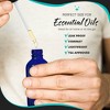 Nevlers 1 Oz Leakproof Blue Glass Dropper Bottles (Pack of 48) - 4 of 4