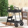 Rex Outdoor Metal Two Tier Bar Cart Matte Black - Christopher Knight Home: Weather-Resistant, Wine Holders - 3 of 4