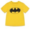 DC Comics Justice League Batman Athletic T-Shirt and Mesh Shorts Outfit Set Little Kid - 2 of 4