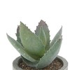Unique Bargains Artificial Plants Flocked Boat-Shaped Aloe in Mini Pulp Plastic Green 2.76"x2.76"x3.54" 1 Pcs - 4 of 4